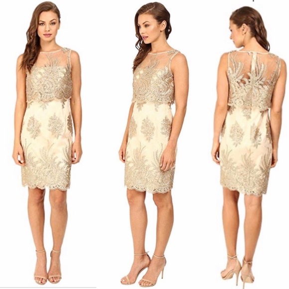 Adrianna Papell Dresses & Skirts - Adrianna Papell Metallic Lace popover Dress